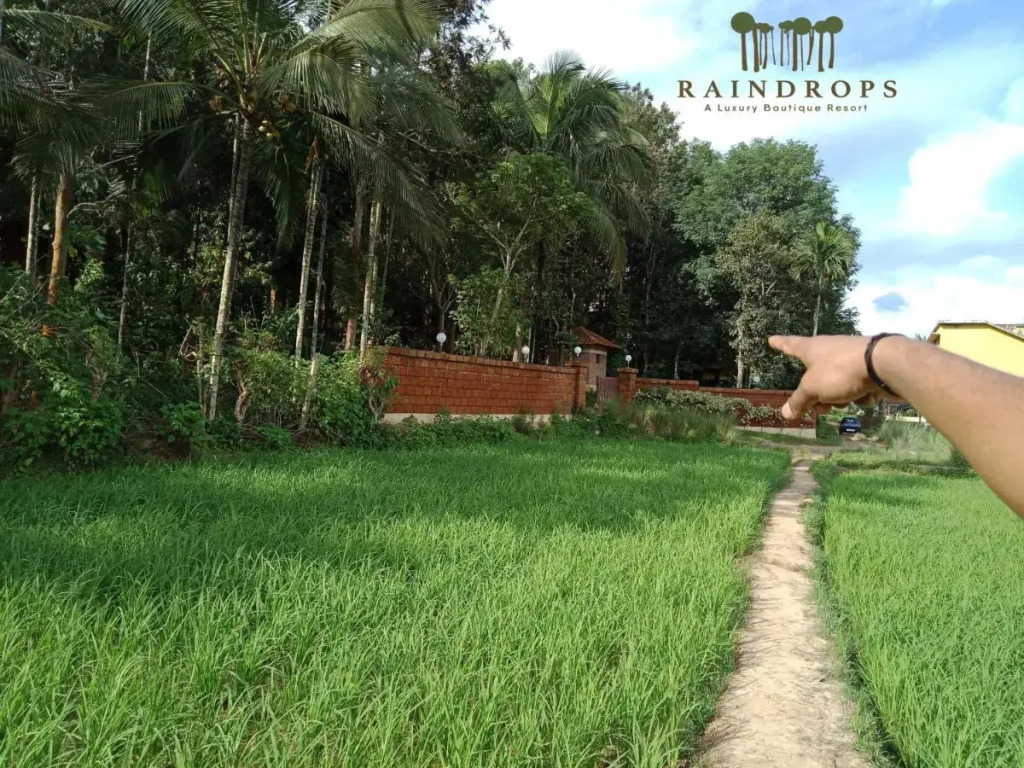 Raindrops Resorts Wayanad
