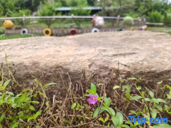 Yuyao Yijia Homestay (Yuyao Siming Lake Scenic Area)