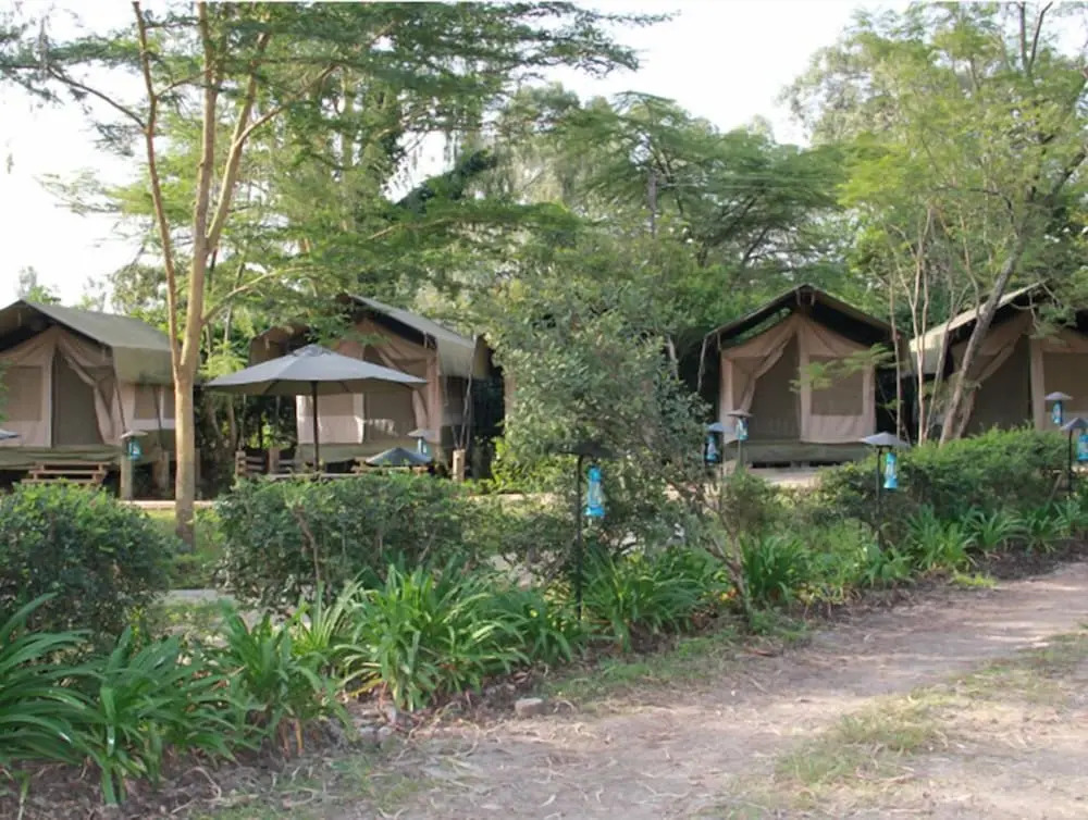 Wildebeest Eco Camp