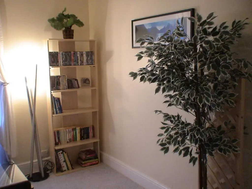 The Shady Corner, Flat 2, 16 Sandy Lane (Adults Only)