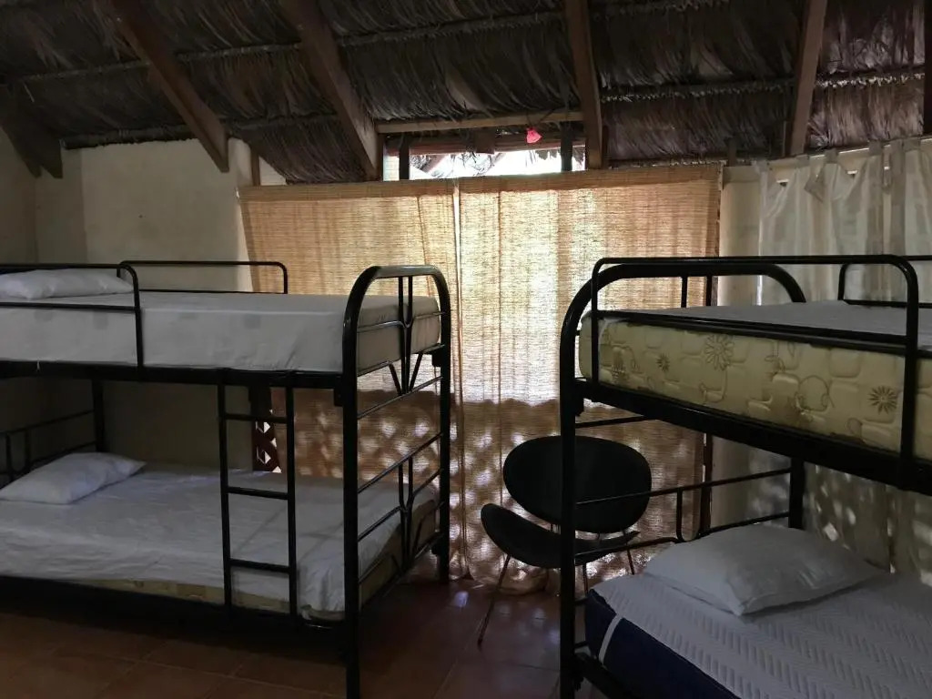 La Palapa Hut Nature Hostel