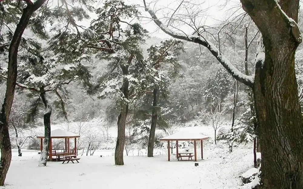 Wonju Chiaksan Juryeongol Pension