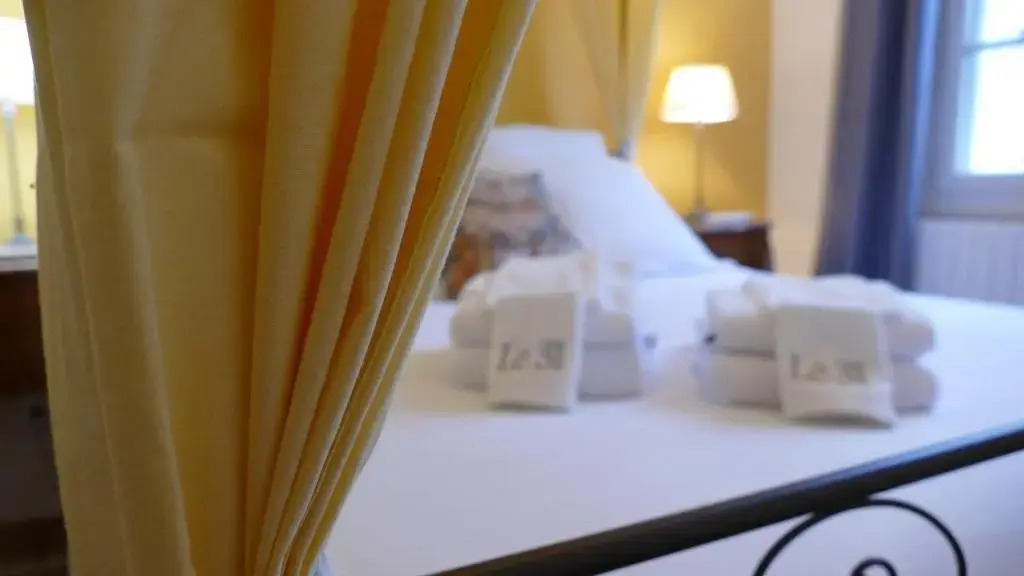 Le 31 B&B Amboise Centre