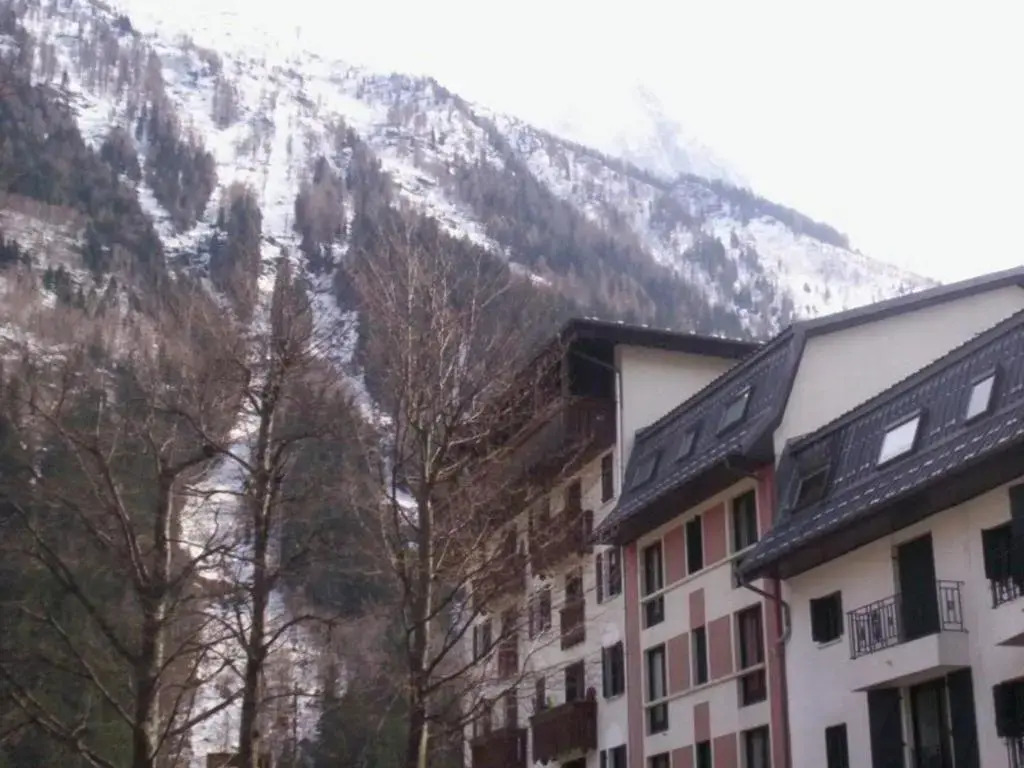 Appartement Chamonix-Mont-Blanc, 2 pièces, 3 personnes - FR-1-517-54