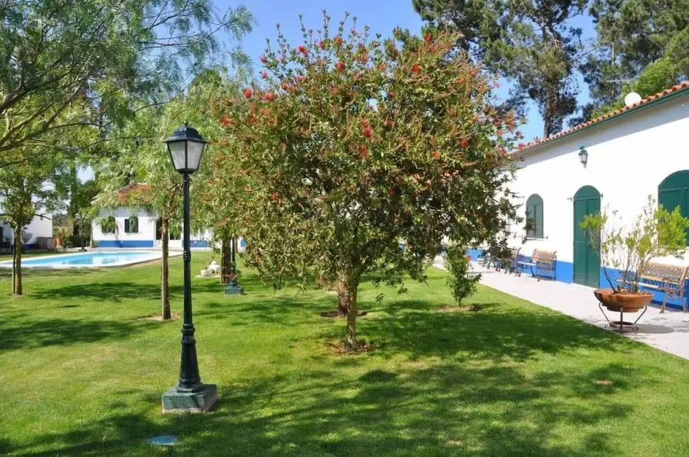The Camp