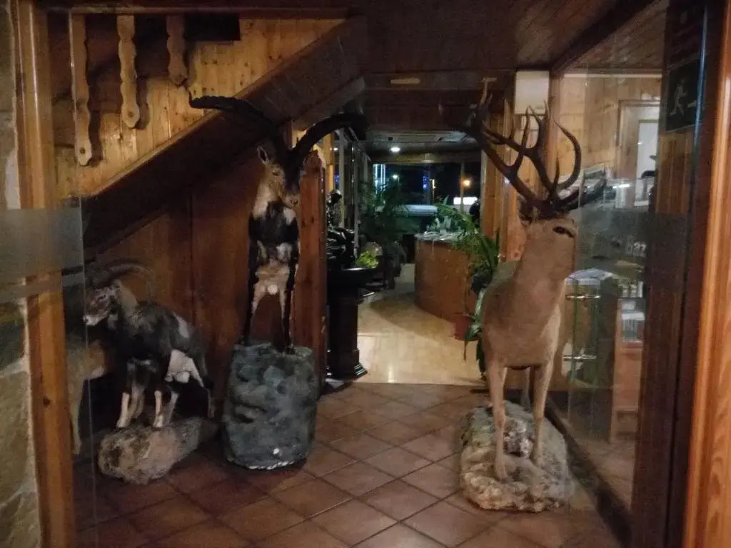 Hostal Sierra De Baza