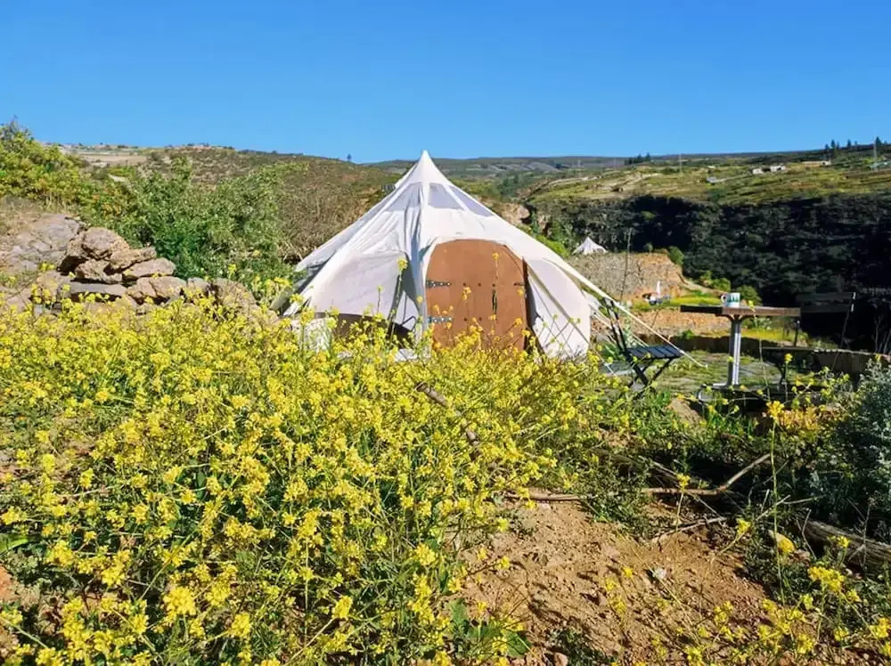 Unique Stargazing Escape With Ocean View