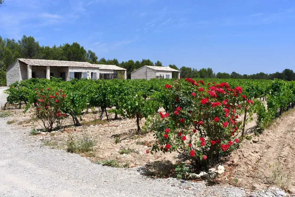 Domaine Haut Lirou