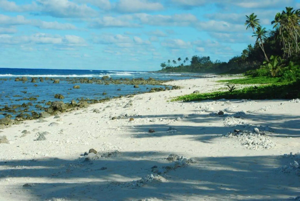 Tropical Sands