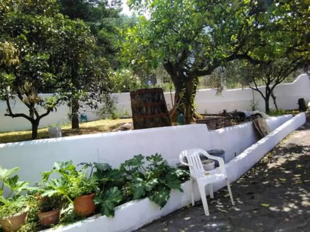 The Green Cottage 1