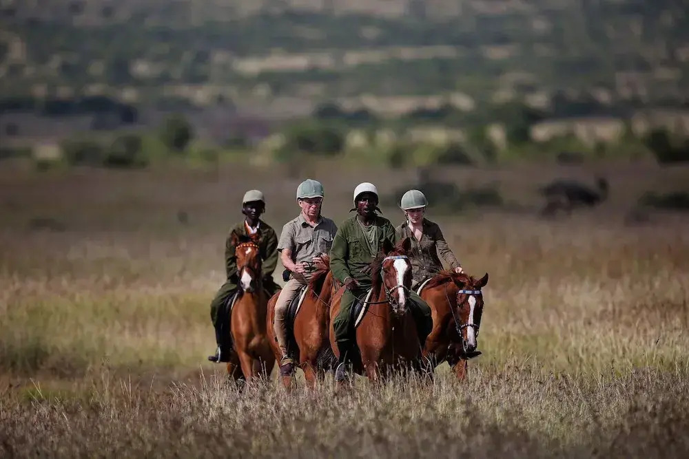 Elewana Loisaba Star Beds