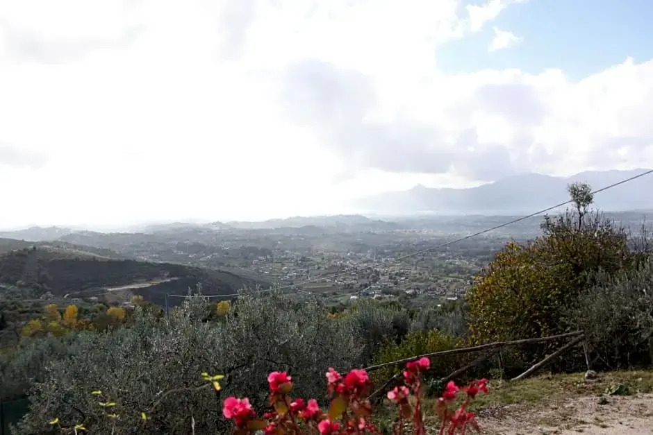 Il Pioppo