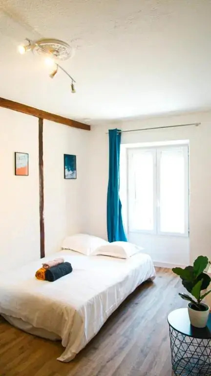 Le Tourangeau - Grand studio cosy en hypercentre