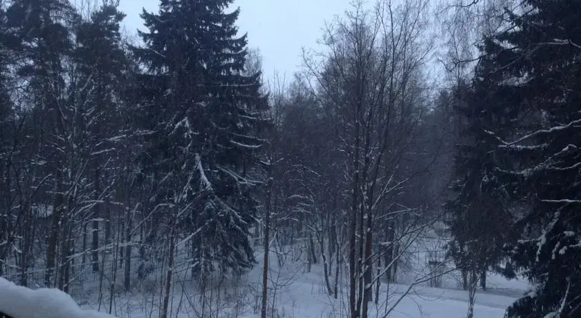 Терийоки Рум