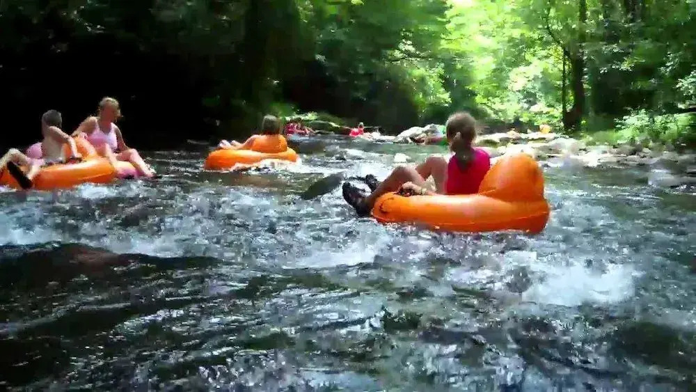 Time Flies on the River 1 Bedroom 1 Bathroom Cabin