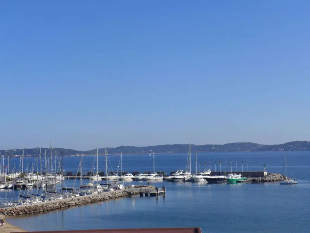 Les Dauphins 33381