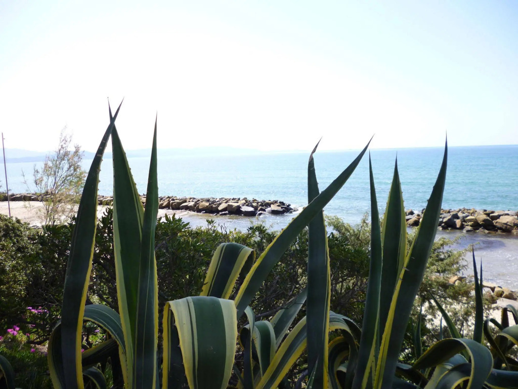 Baia Etrusca Resort