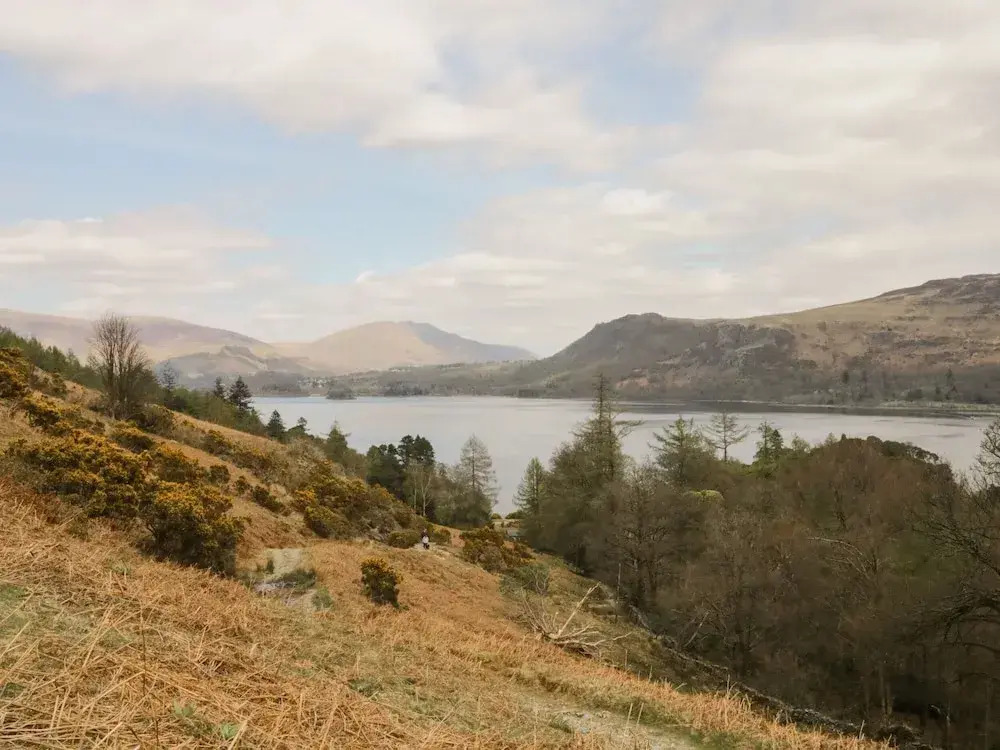 St Johns View