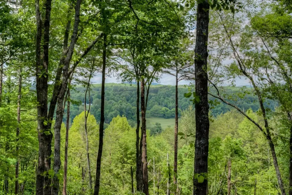 North Georgia Overlook by Escape to Blue Ridge