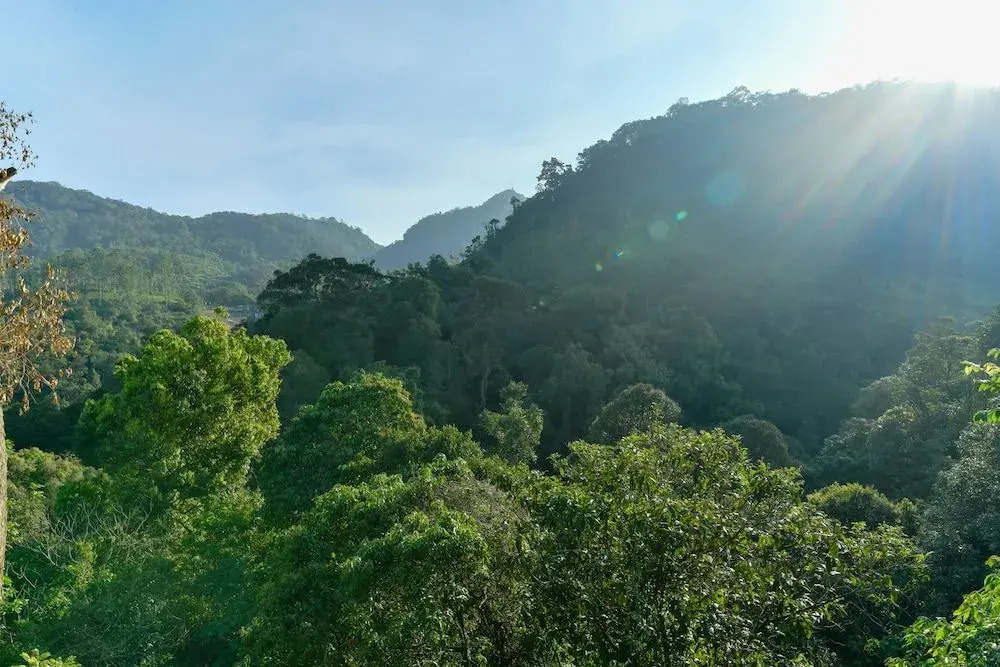 OYO 24060 Eco Exotica Holidays