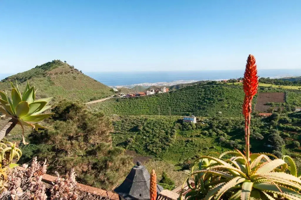 Mansion Bandama by VillaGranCanaria
