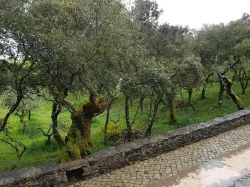 Casa dos Tios