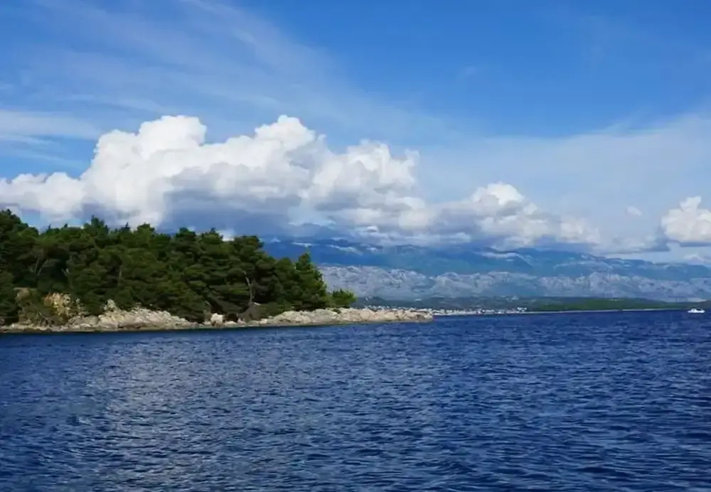 Tatjana - 300 m From Beach - A1