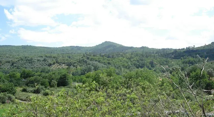 Finca La Suerte