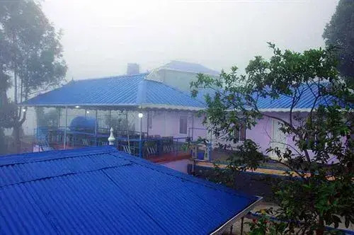 Mist Land