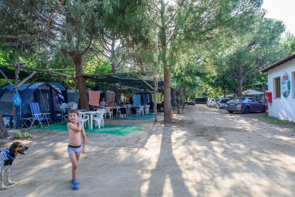 Camping Pitsoni