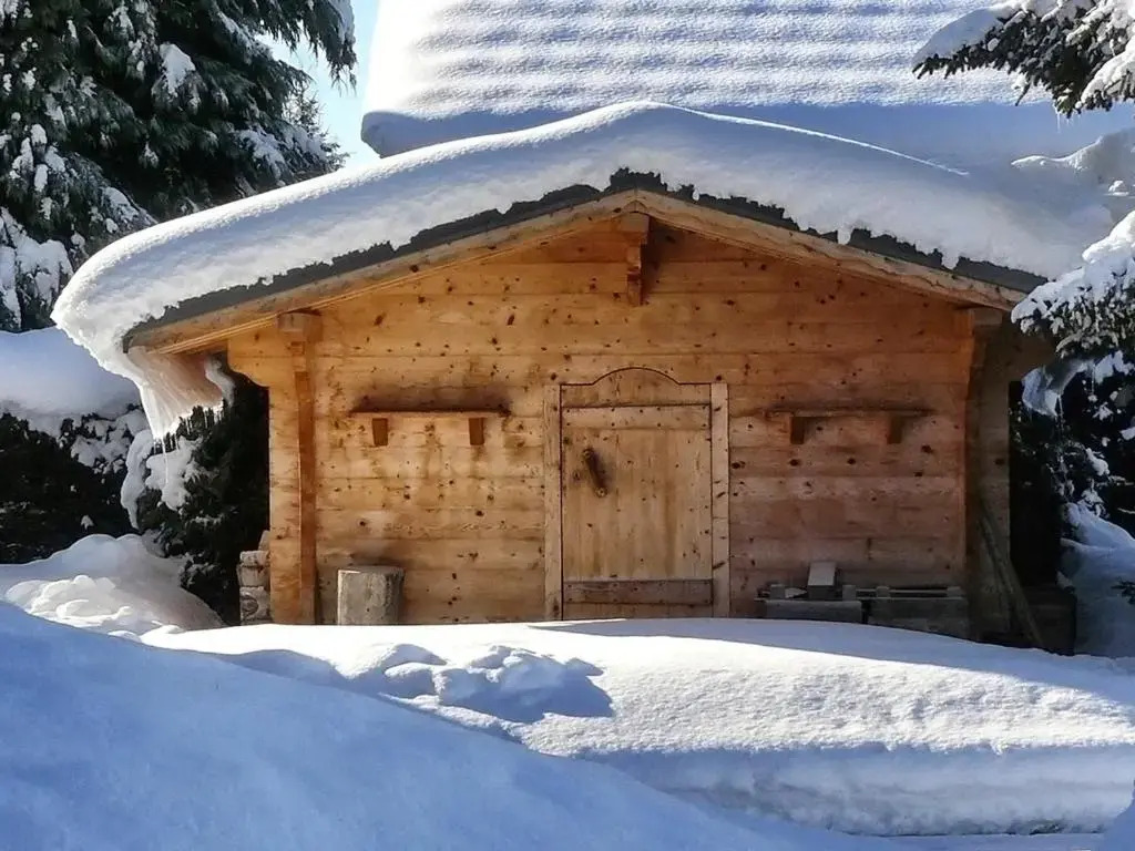 Appartement Notre-Dame-de-Bellecombe, 3 pièces, 4 personnes - FR-1-505-104