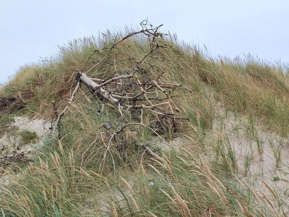 Cozy Holiday Home in HarboÃ¸re near North Sea & Beach