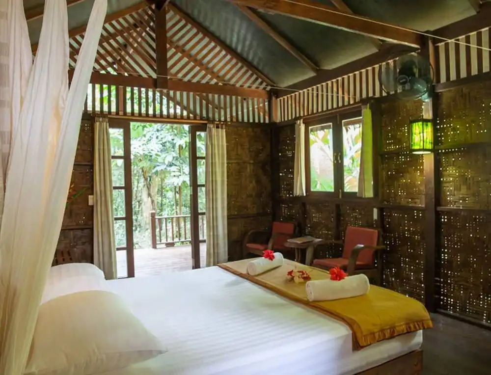 Our Jungle House