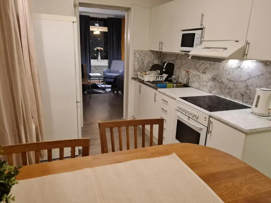 Mysig lägenhet med ett rum och kök 1103