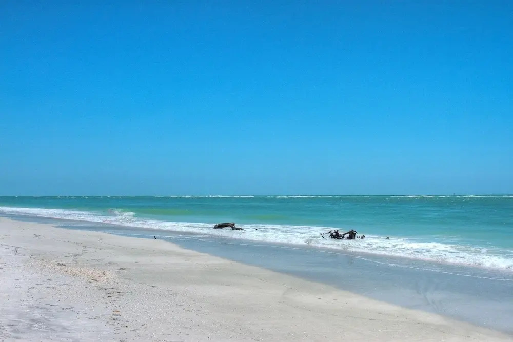 Sarasota 18