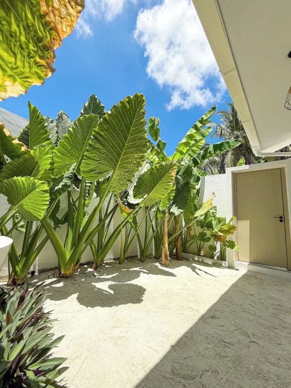 Tropicana Villas - Thoddoo