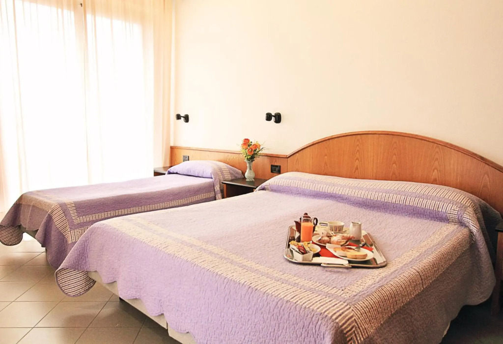 Hotel Adler