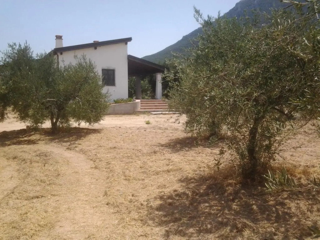 Casa Corofulu Oliena - IUN P2139