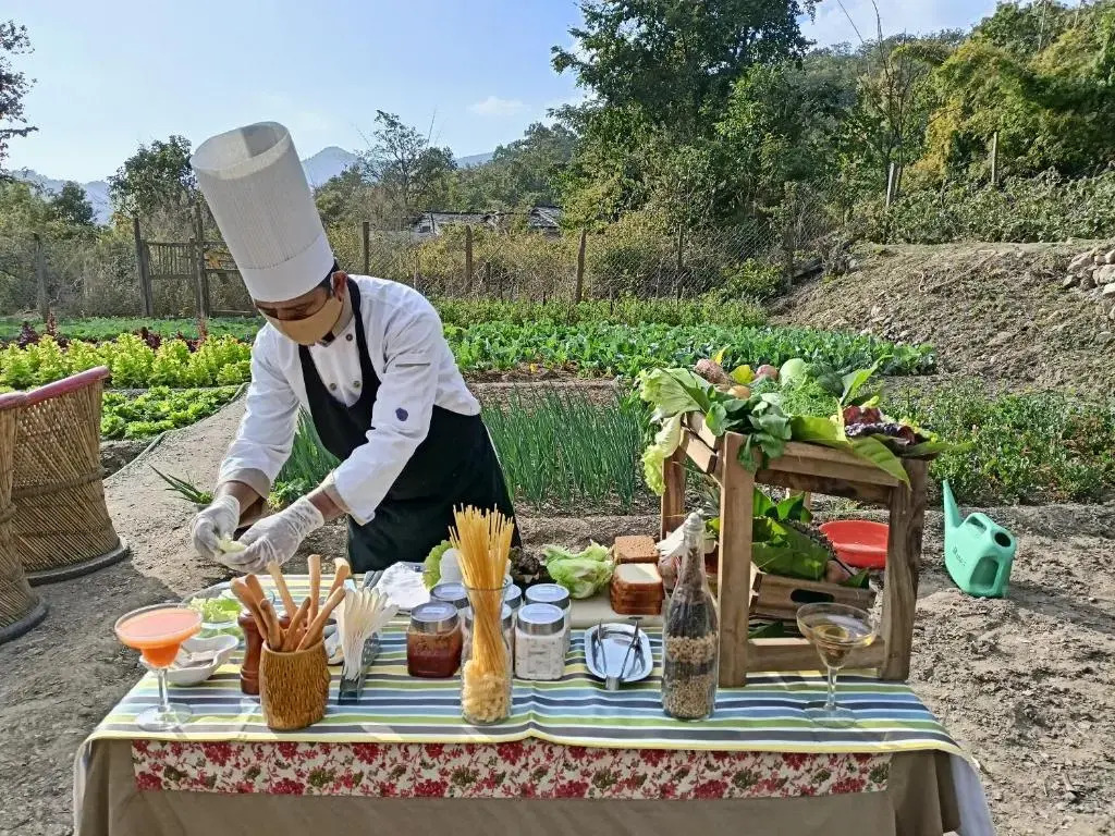 Paatlidun Safari Lodge, Jim Corbett