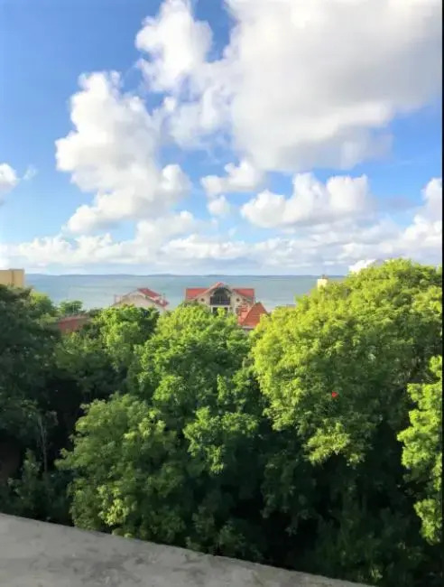 Appartement vue sur baie et océan, 100 m de la plage et du centre par chemin privé