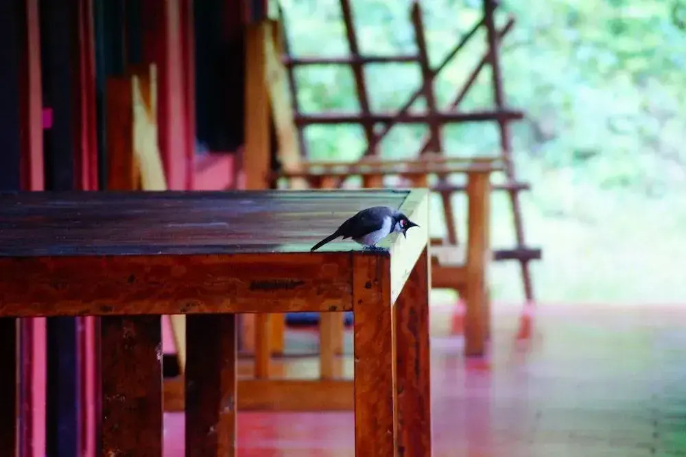 Secret Valley Jungle Resort