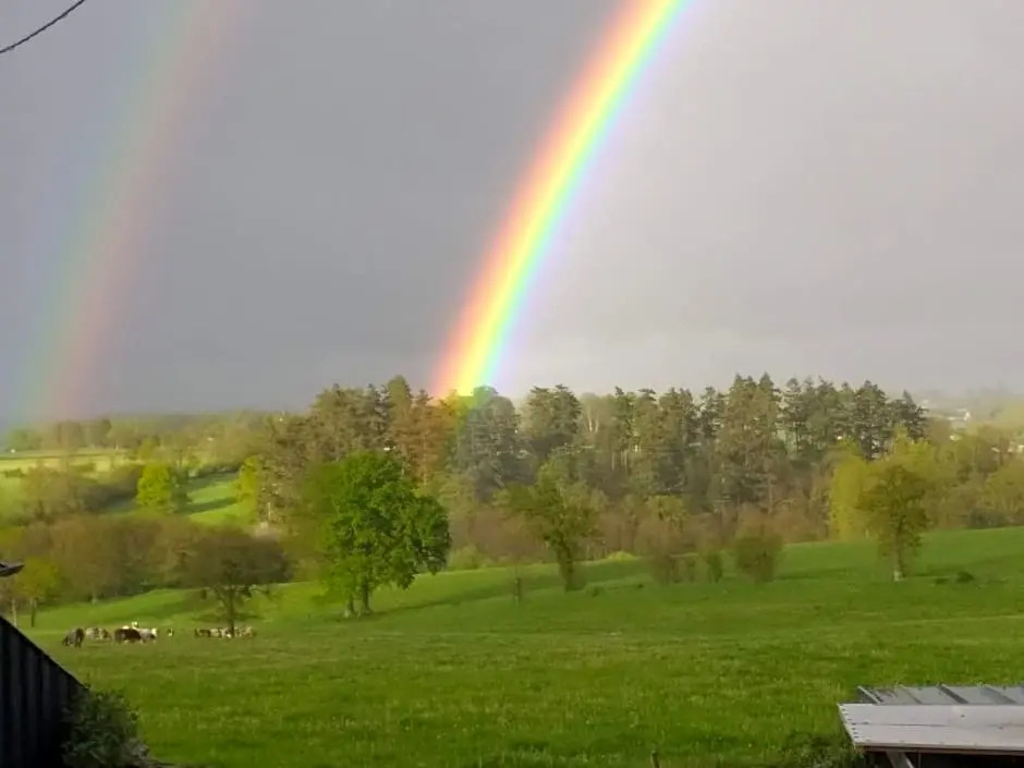 Le Vieux Notaire