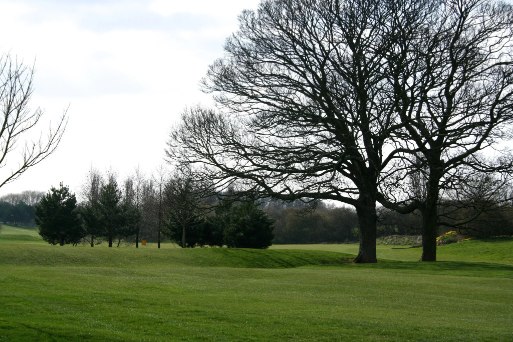 Humber Royal Hotel