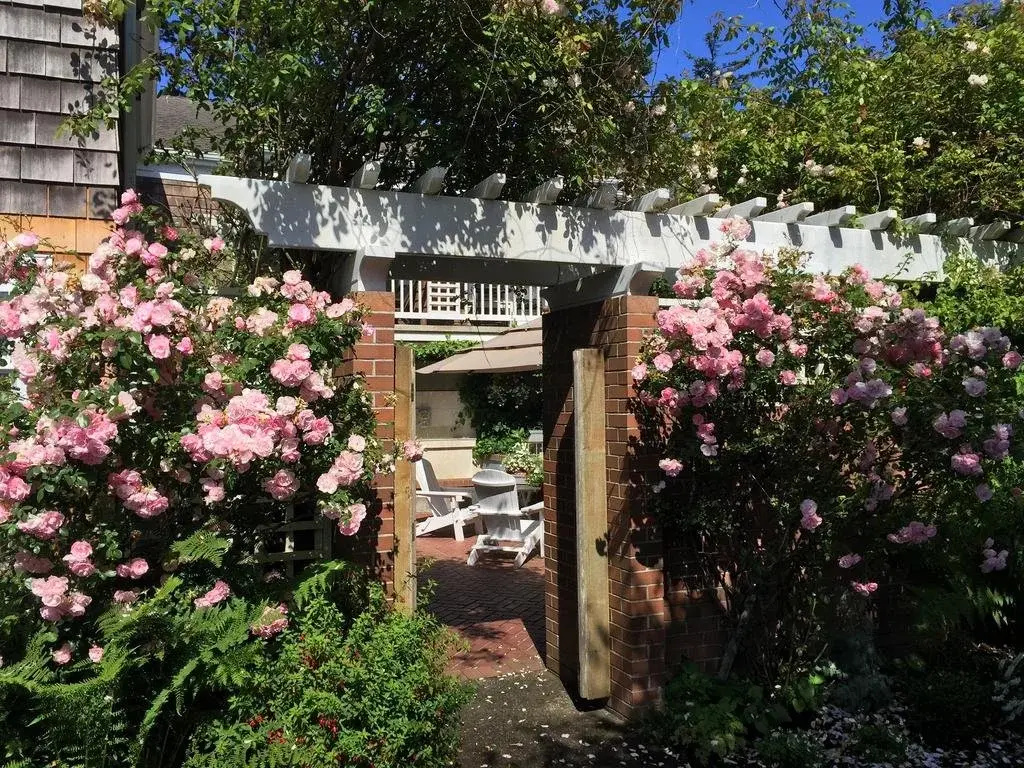 The Courtyard
