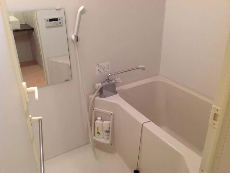 Vann Amor Apartment Minami-Gyotoku