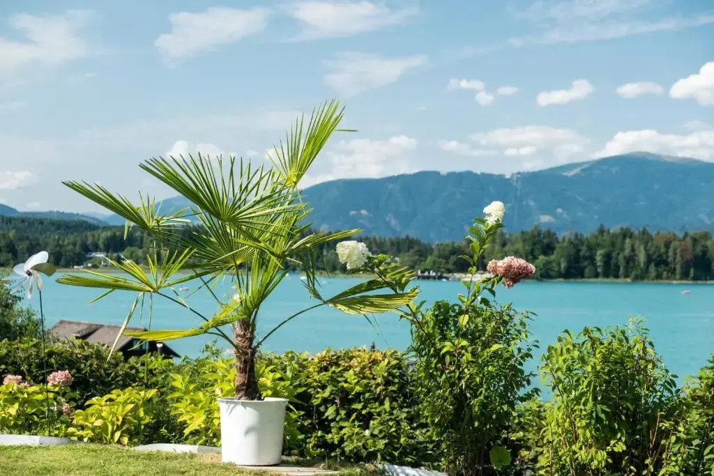 Lakeside Apartments - Adults Only