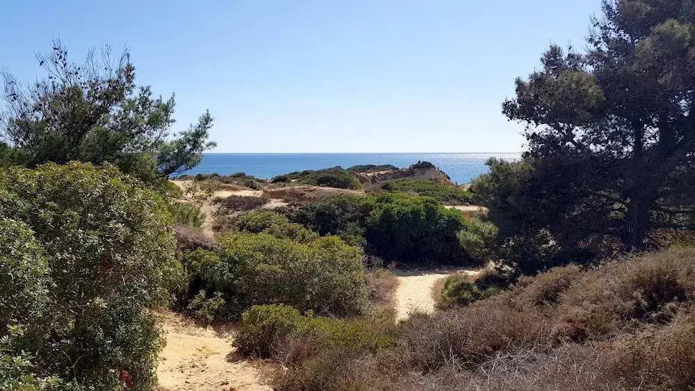 Magnific Studio With a Cozy Garden 5 Minutes to the Beach