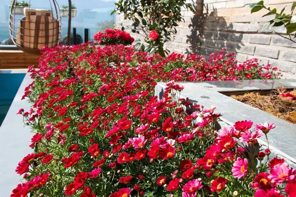 Dali Junbo Holiday Villa