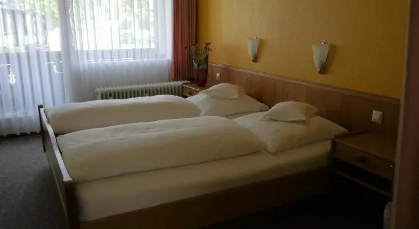 Hotel Schwan