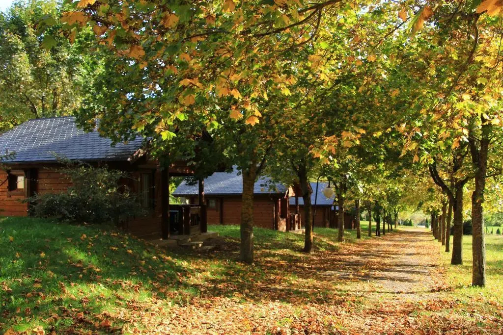 Hotel, Bungalows Y Camping Viu